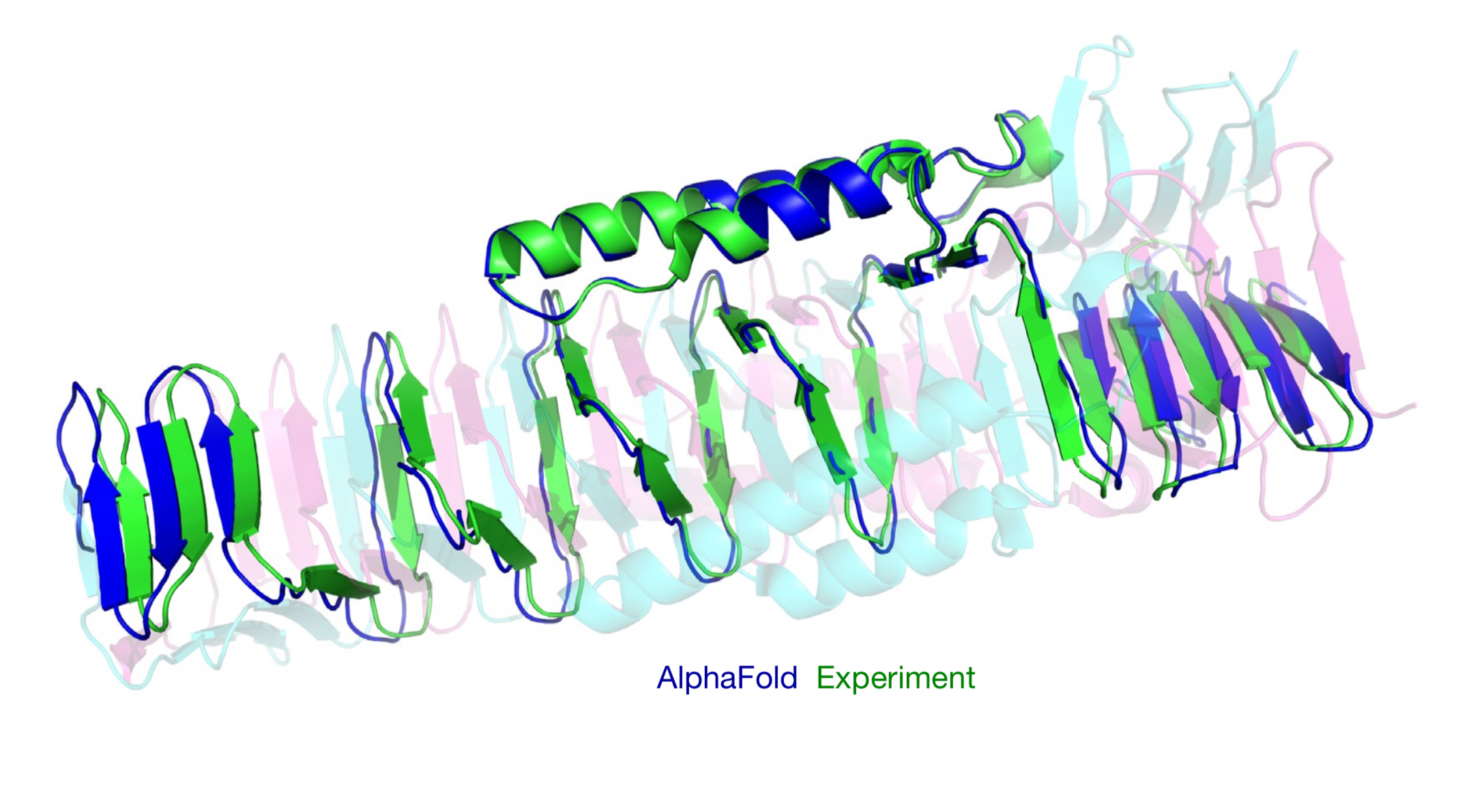 DeepMind’s AI Solves Nature’s Origami by Predicting Protein Structures with Atomic Precision