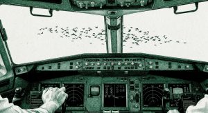 Sully: Brace for impact.